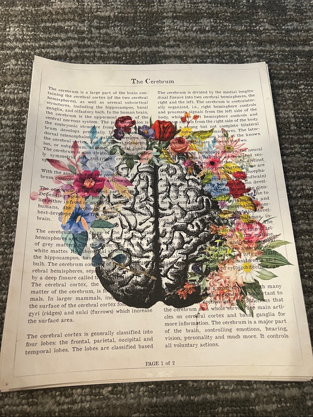 Art Print - Floral Designs